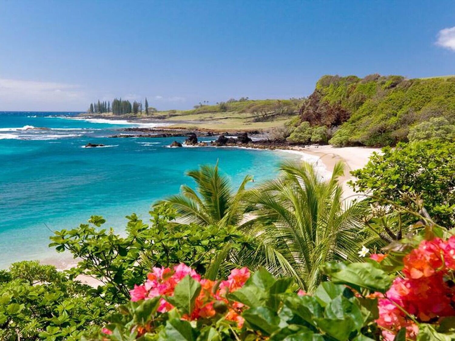 HAWAIIAN SUNTAN