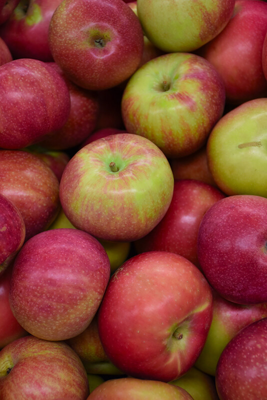MACINTOSH APPLE