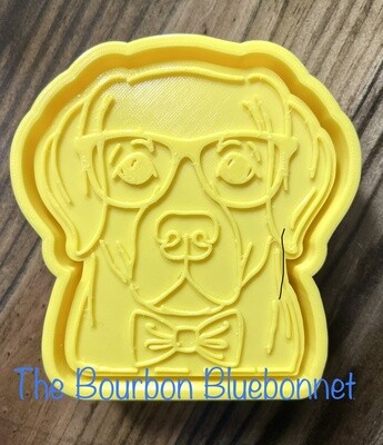LAB SILICONE MOLD