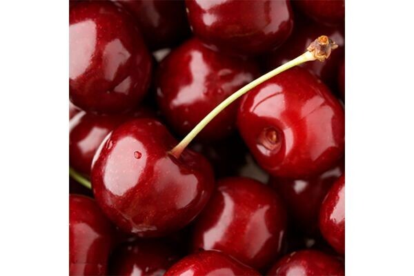 Wild Cherry