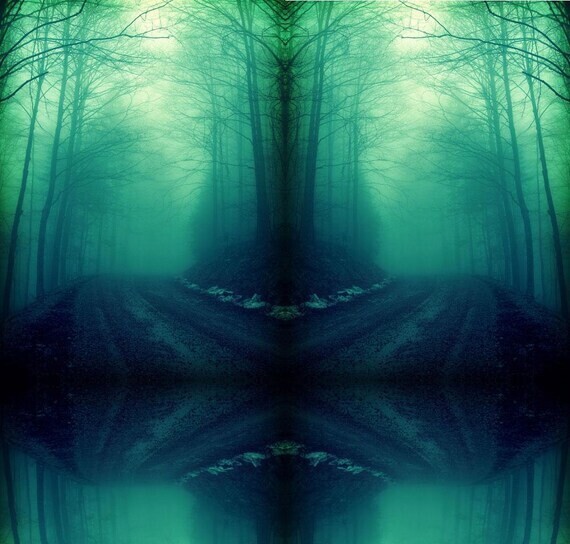 TWILIGHT WOODS