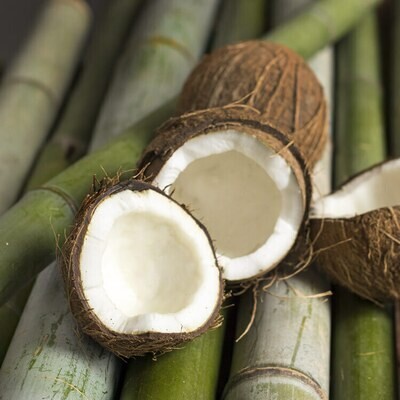 BAMBOO AND COCONUT