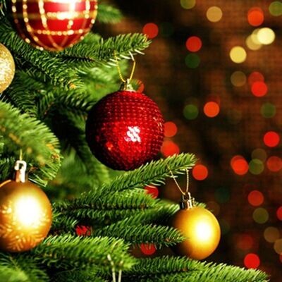 FRESH CUT CHRISTMAS TREE