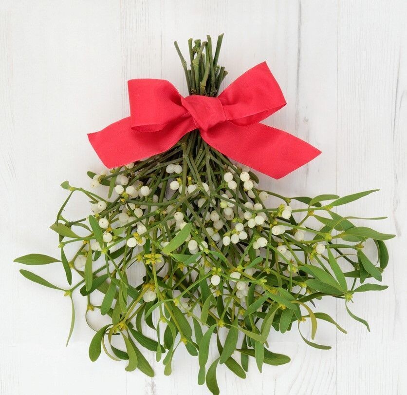 HILLBILLY MISTLETOE