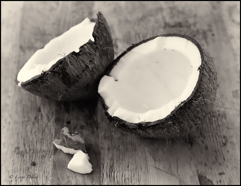 BLACK COCONUT