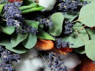 LAVENDER EUCALYPTUS