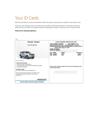 5 Vehicle Insurance Card Templates Pack - For Resellers - Immediate Download