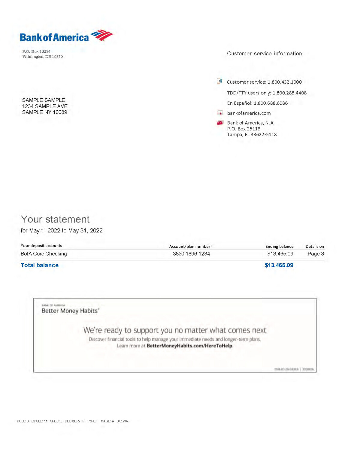 Bank of America Bank Statement -Auto Calculate Template
