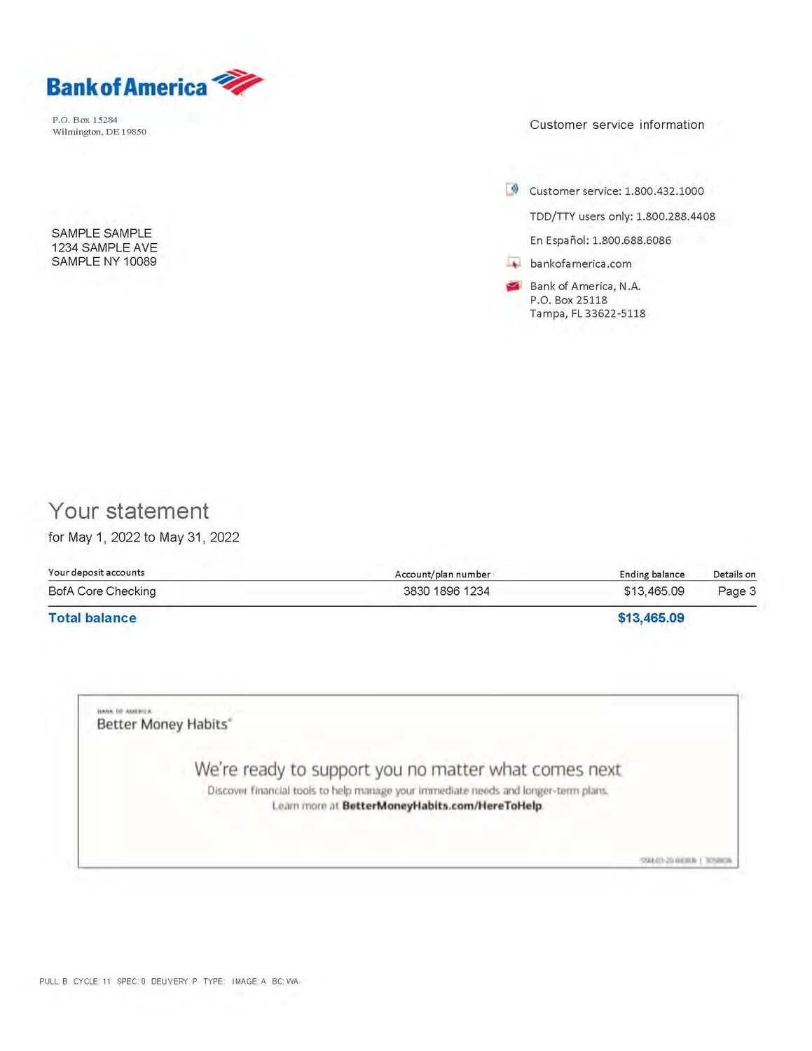 Bank Statement Bank Of America Documentplug