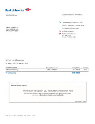 Bank Statement Creation - Bank of America - We Do The Work
