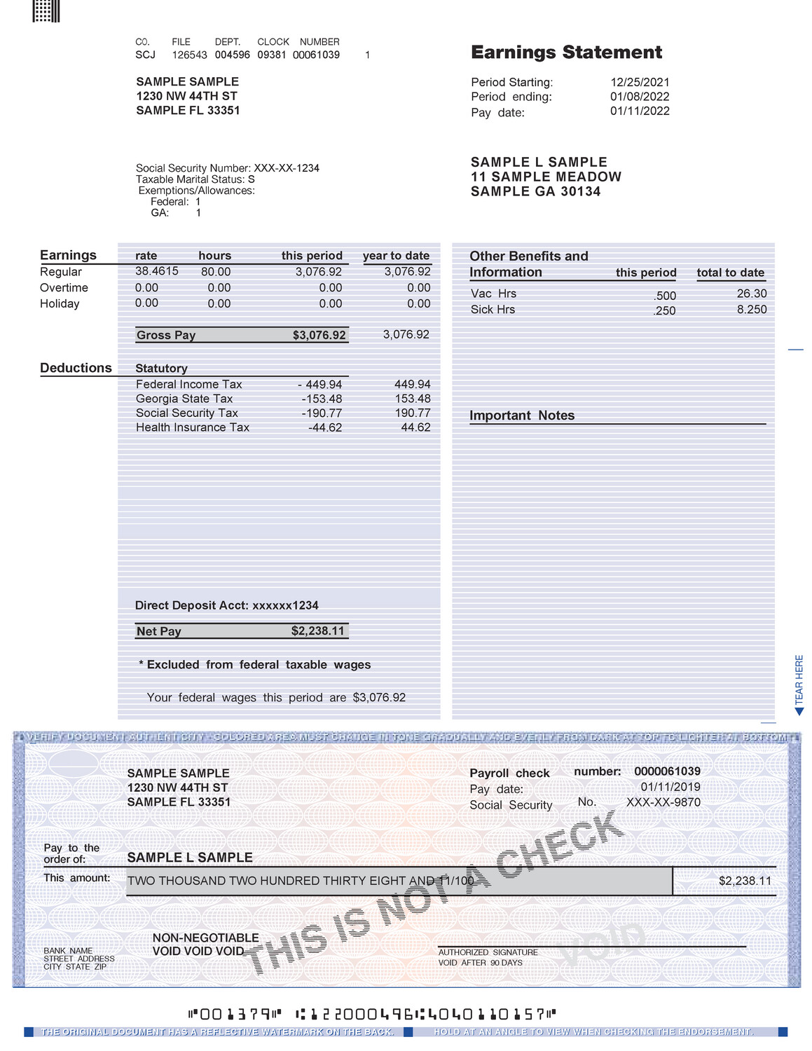 Pay stub Editable Template - NON ADP Full Color