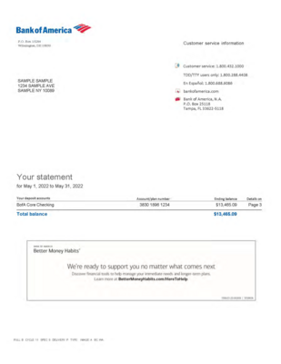 We Create - Bank Statement - Customized - 1 Month - We Do The Work