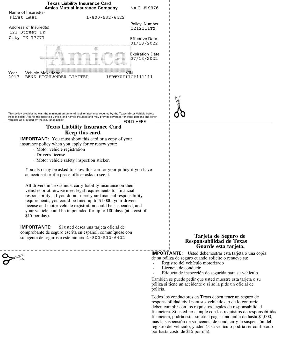 Amica - Insurance Card Editable Template