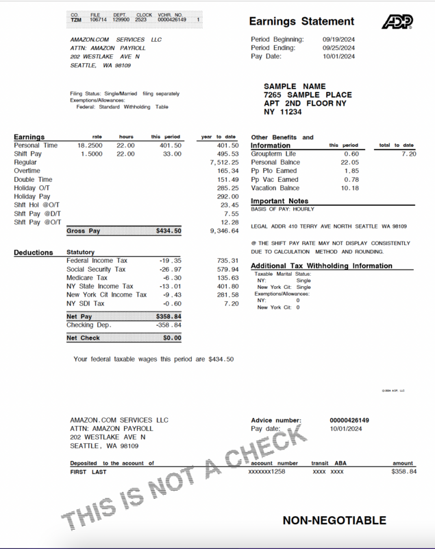 Paystub Editable Template AMZN Documentplug