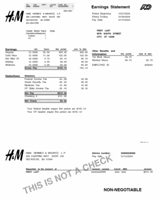 Pay stub Editable Template - H&M