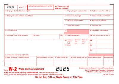 W2 Form Editable Template - 2025 Year