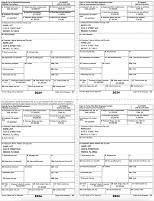 Form W2 Wage and Tax Statement - 2024 Year (Single Page| PDF Format)
