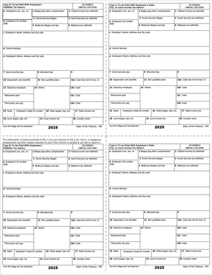 Form W-2 Wage and Tax Statement – 2025 | Editable PDF – Single Page