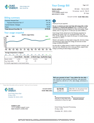Editable Utility Bill Template (PDF Format)