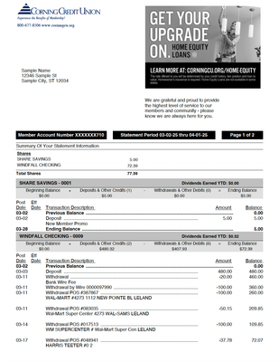 Bank Statement Editable Template (Fillable PDF)