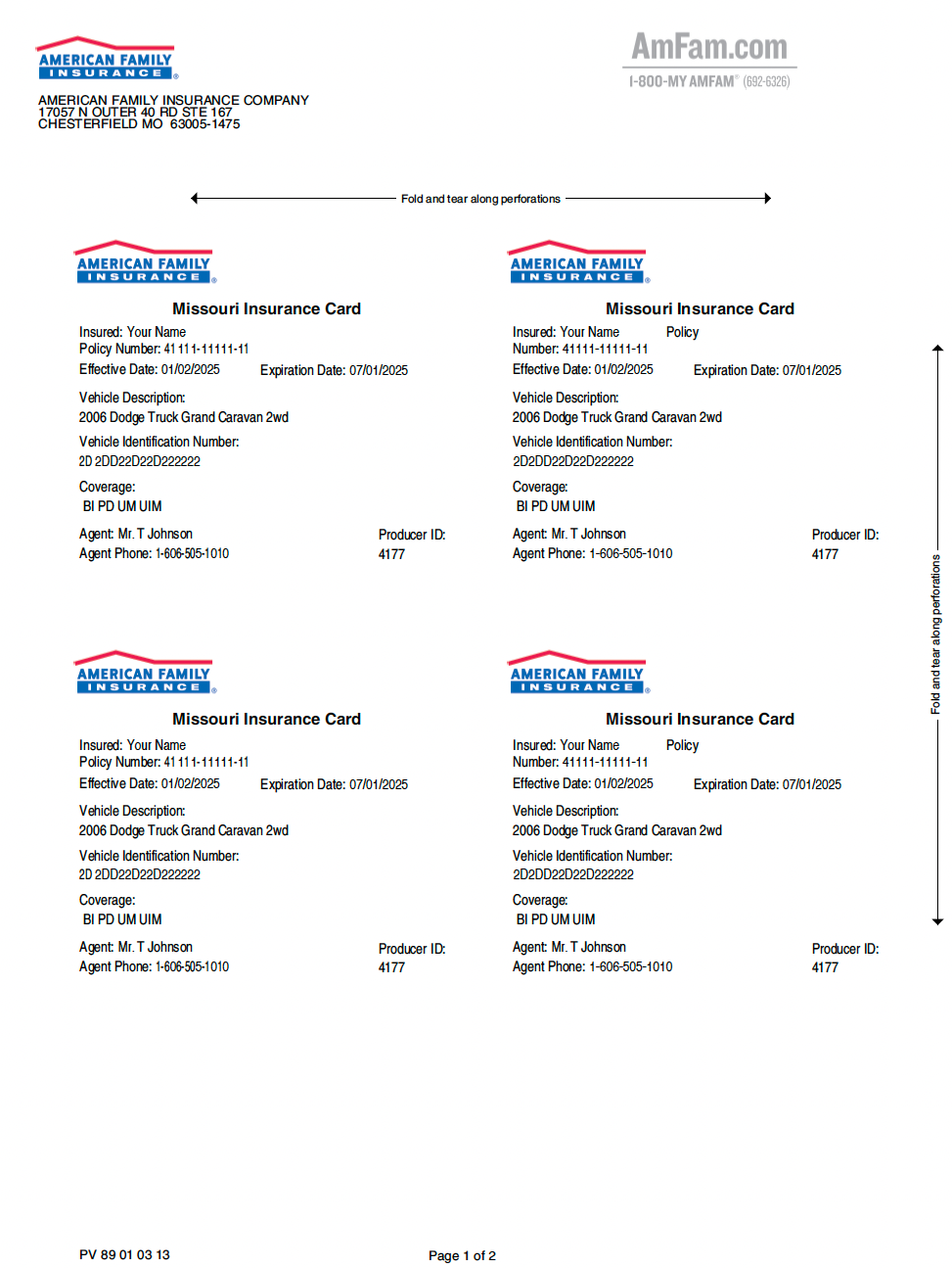 Vehicle Insurance Card Template (PDF format)