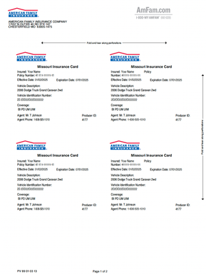 Vehicle Insurance Card Template (PDF format)