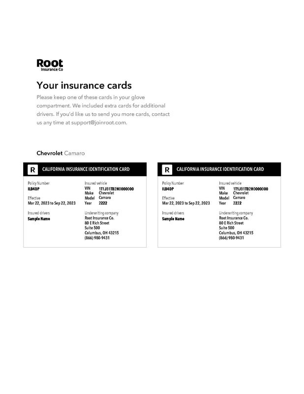 Roots Insurance Card Editable Template | Documentplug