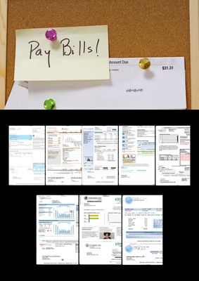 Standard Bill | Editable PDF Template