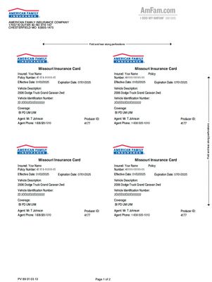 Vehicle Insurance Card Template – American Family | Editable PDF Format Vehicle Insurance Card Template – American Family | Editable PDF Format