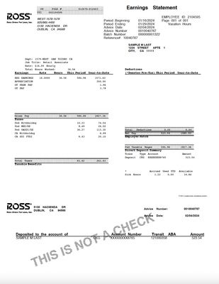 Pay Stub Template – Ross | Editable PDF Format