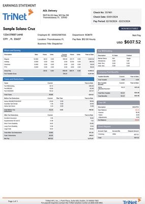 Pay Stub Template – TriNet | Editable PDF Format