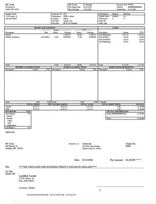 Pay Stub Template – PT Tech | Editable PDF Format