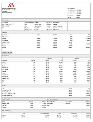 Pay Stub Template – Insurance Auto Auctions Corp | Editable PDF Format
