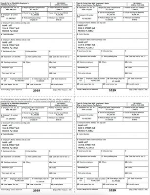Form W-2 Wage and Tax Statement – 2025 | Editable PDF – Single Page