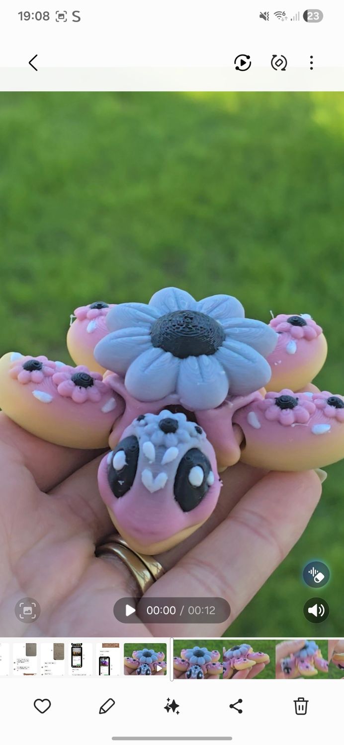 Flower turtle