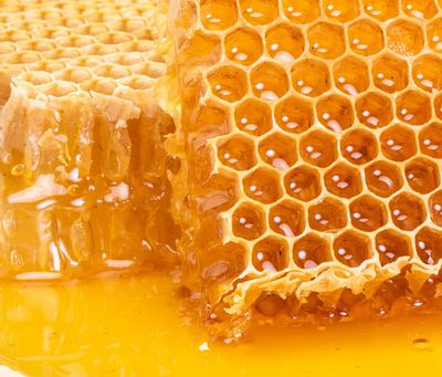 Skin Concern: Hormonal, Oil Imbalances, Normal &amp; Oily