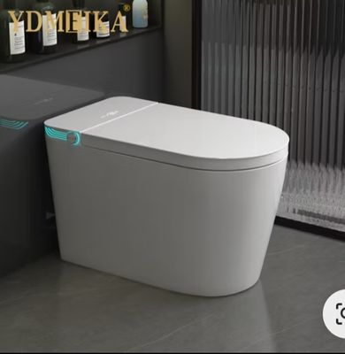 Wall closed Automatic toilet flush