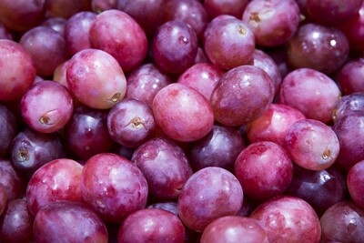 Vinos Clásicos y de Reserva Especial