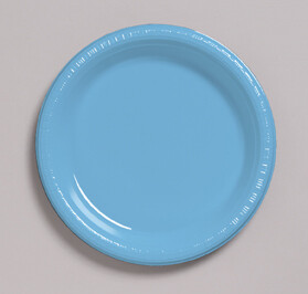 Pastel Blue 10.25 inch plastic plate