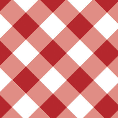 Gingham Galore Plastic Table Cover