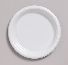 White 10.25 inch plastic plate