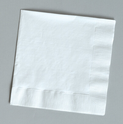 White  beverage napkin 2 ply