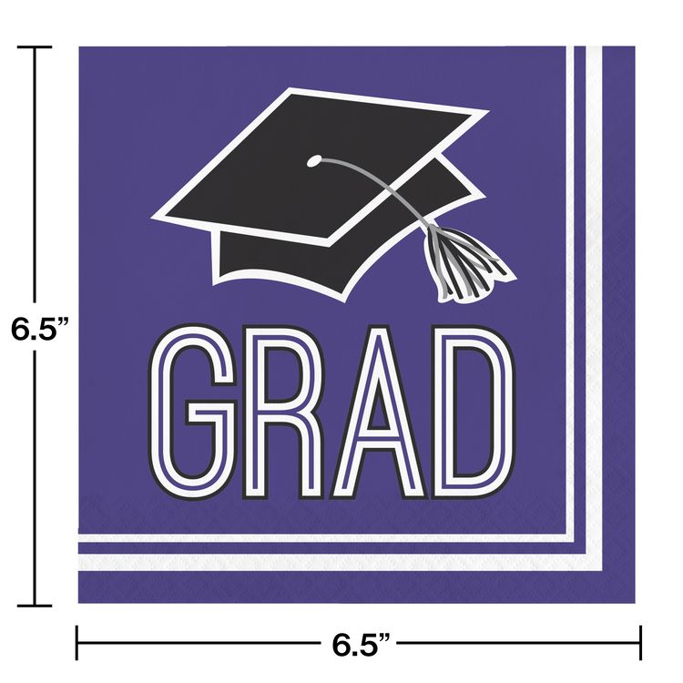School Spirit Purple HC Luncheon  Napkins Plate-20