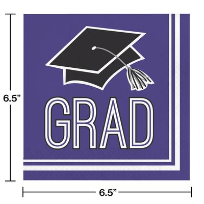 School Spirit Purple HC Luncheon  Napkins Plate-20