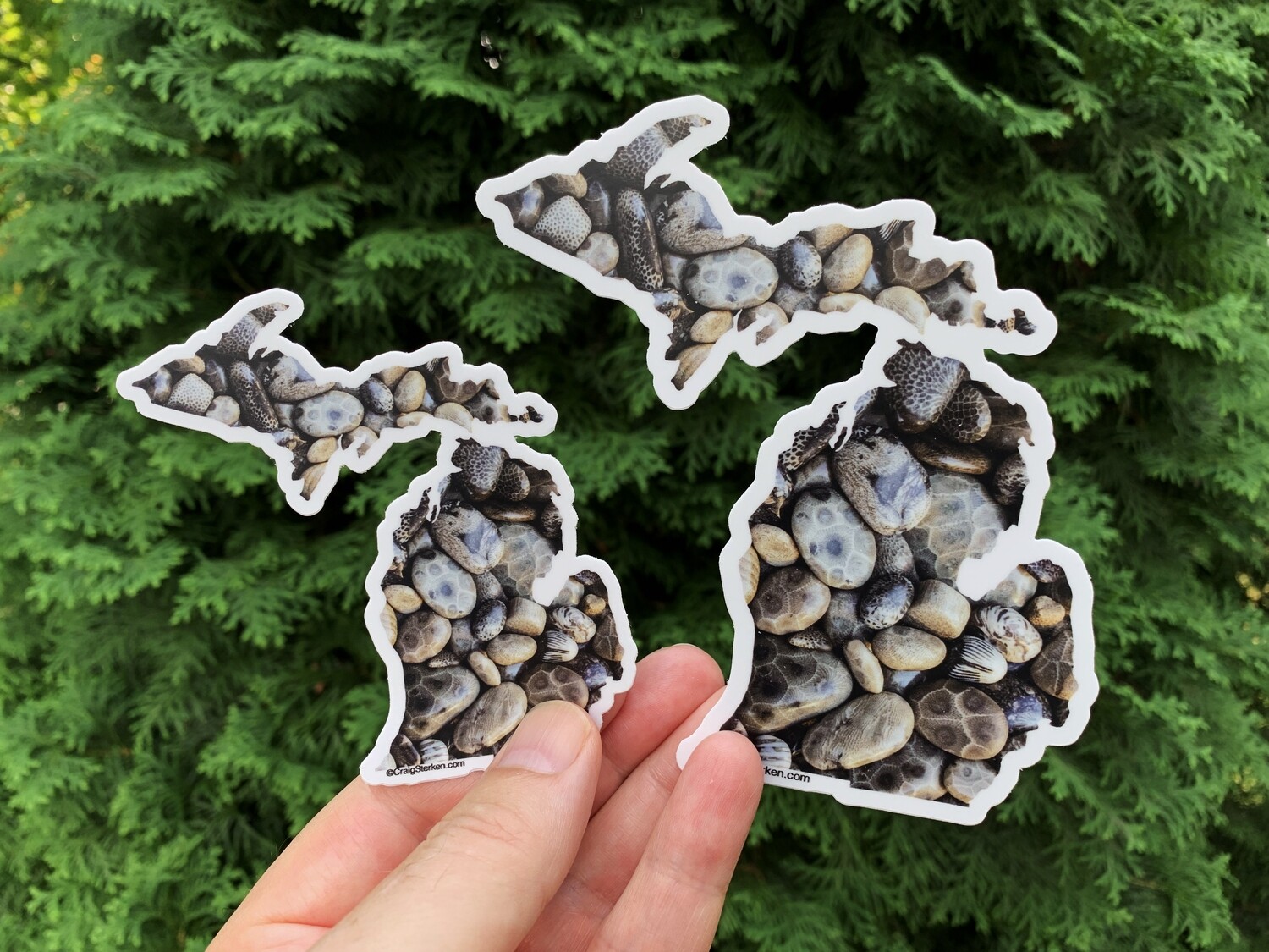 Michigan Petoskey Stones Sticker - FREE SHIPPING!