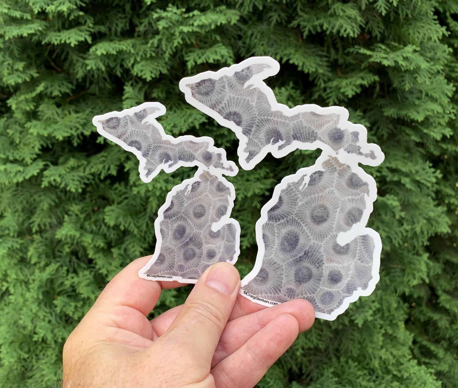 Michigan Petoskey Stone Sticker - FREE SHIPPING!