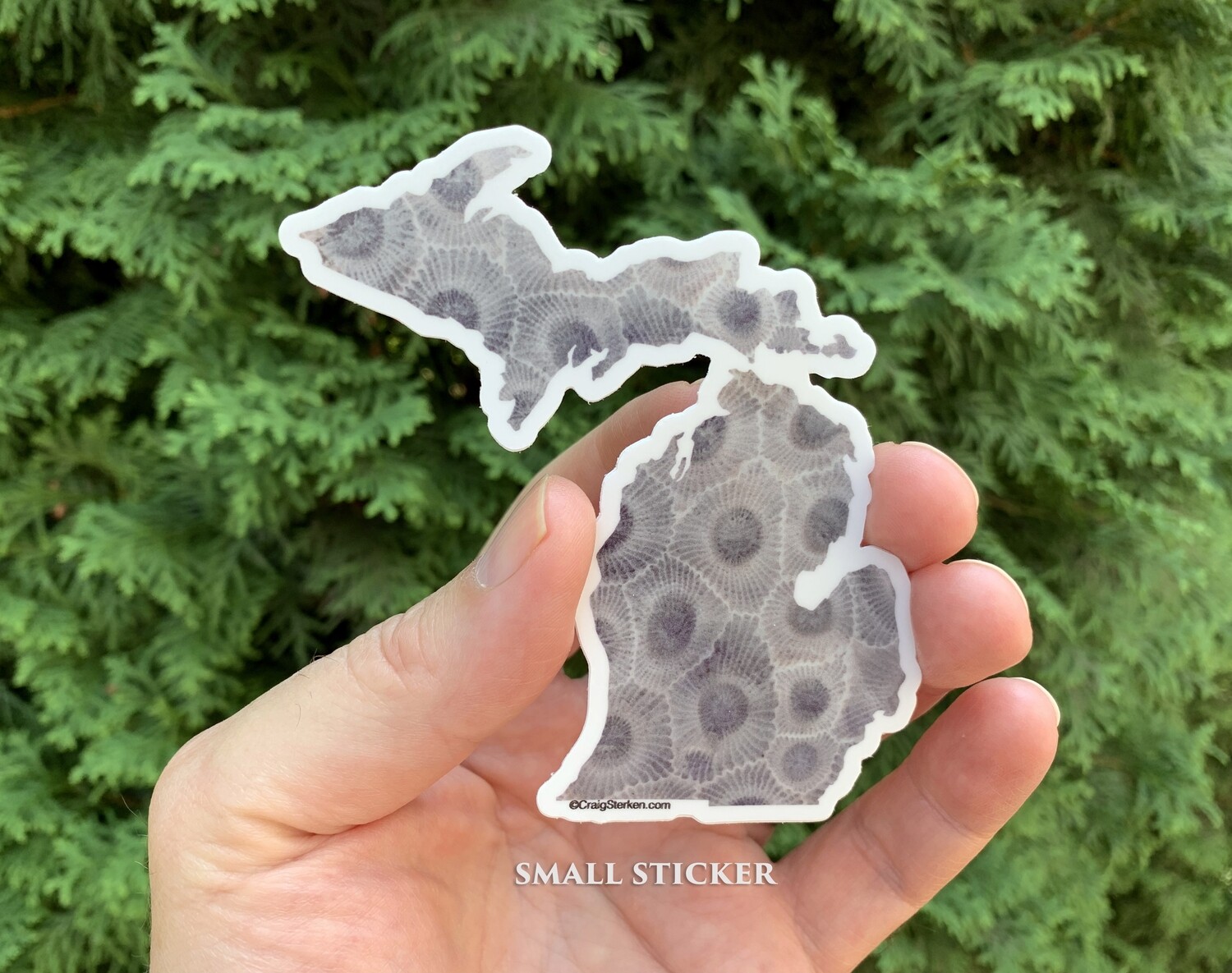 Michigan Petoskey Stone Sticker - FREE SHIPPING!