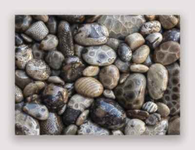 Petoskey Stones Note Card - Blank Inside