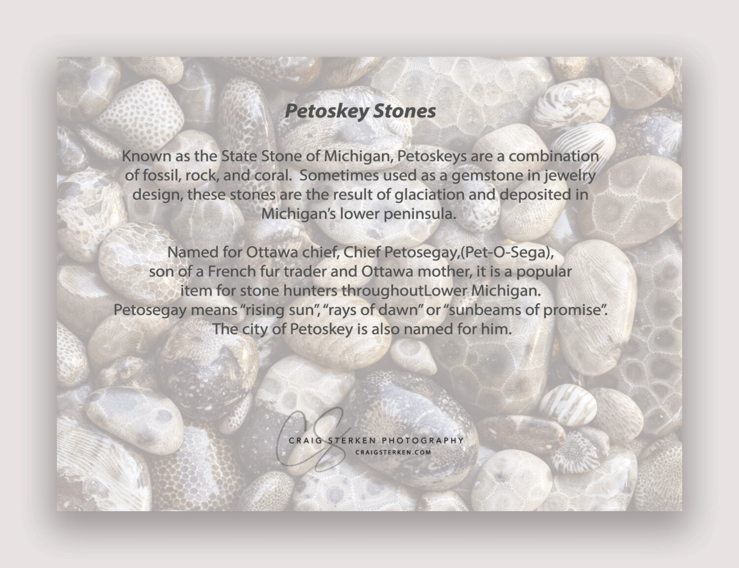 Petoskey Stones Note Card - Blank Inside