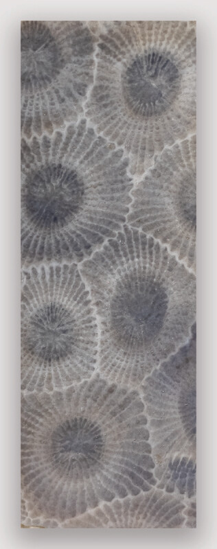 Petoskey Stone Bookmark with Free Shipping!